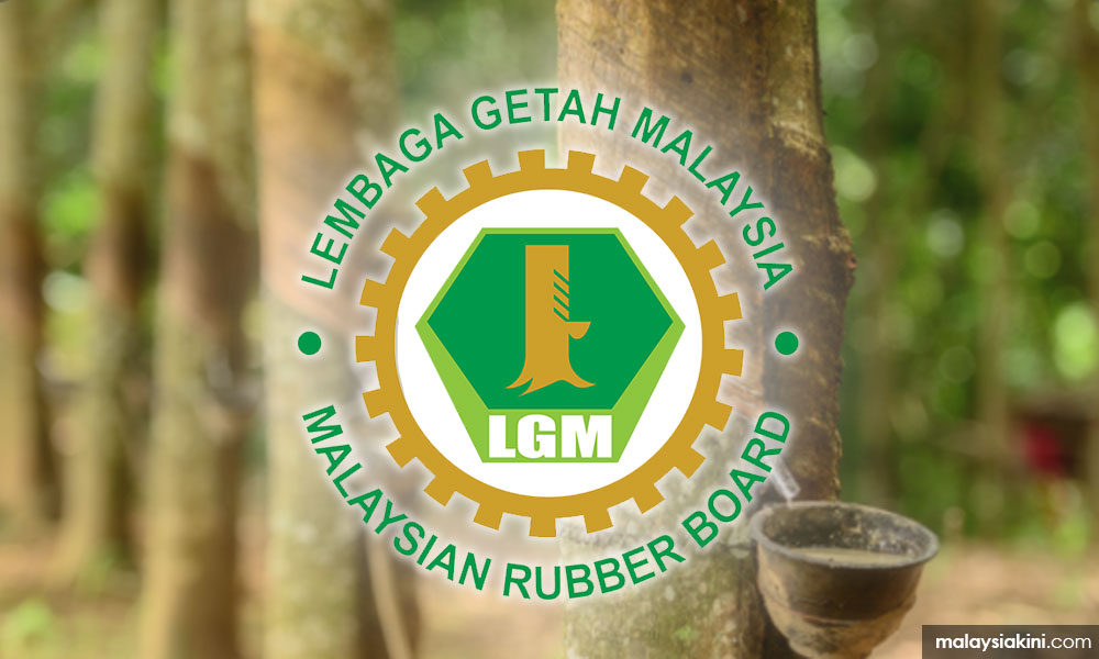 Lgm Harga Getah Ditentukan Pasaran Laksana Inisiatif Bantu Penoreh