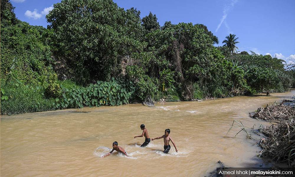Biodiversity loss harms financial stability, economy - BNM