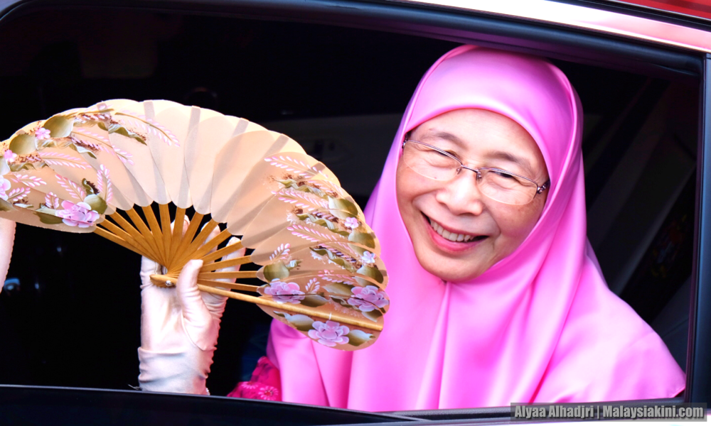 Gov’t to develop model for care of elderly - Wan Azizah