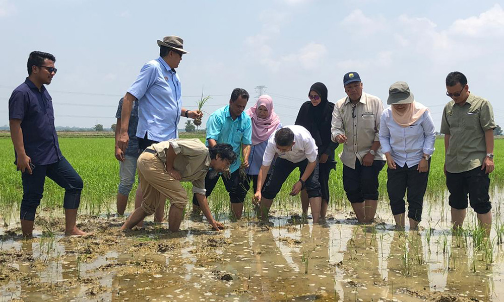 Mak Cik Sitah nak jumpa menteri