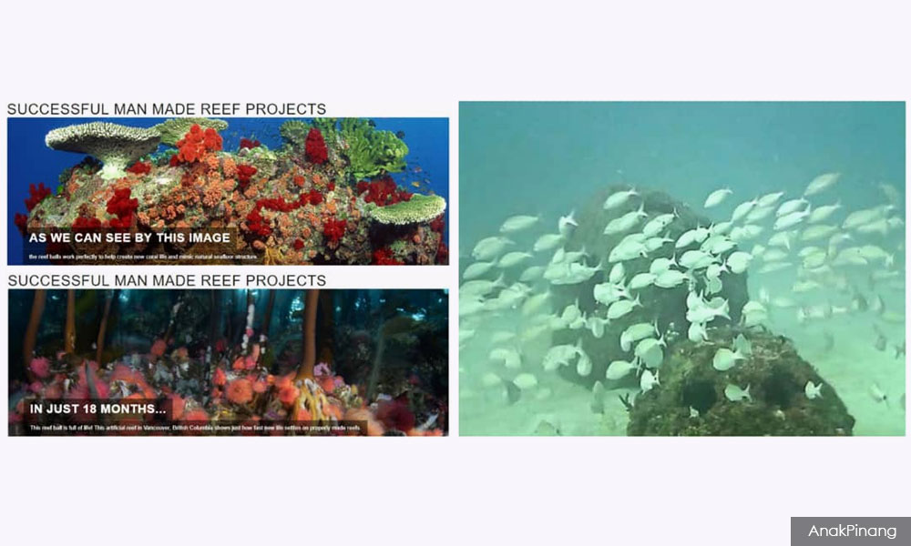 How to restore marine biodiversity at Penang southern coast?