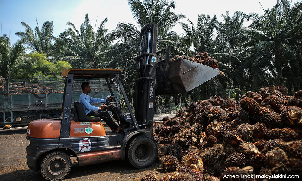 Indonesia to increase imports from India amid New Delhi-Malaysia spat - sources