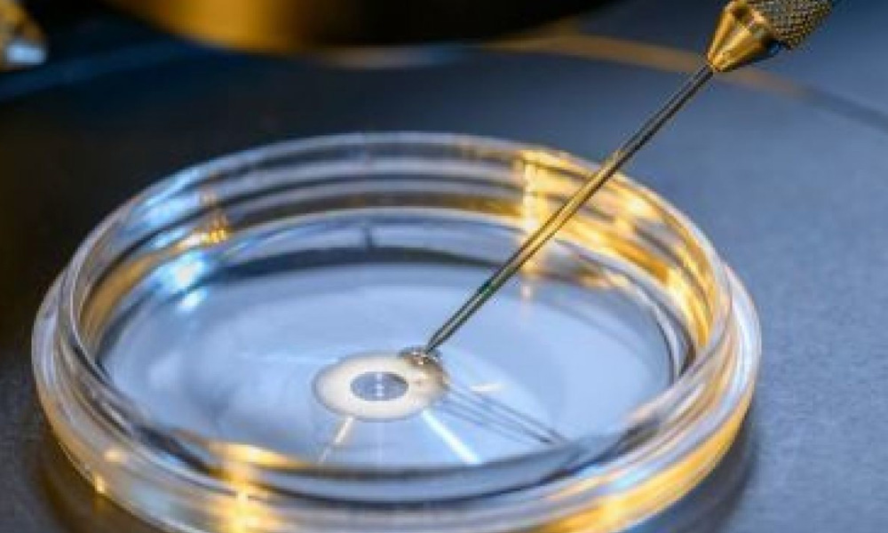 Gov't to consider proposal on tax exemption for IVF treatment