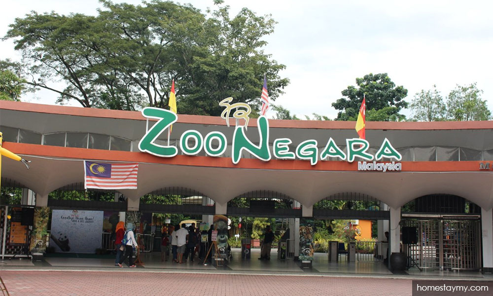 Malaysiakini Zoo Negara Battling To Return To Its Glory Days