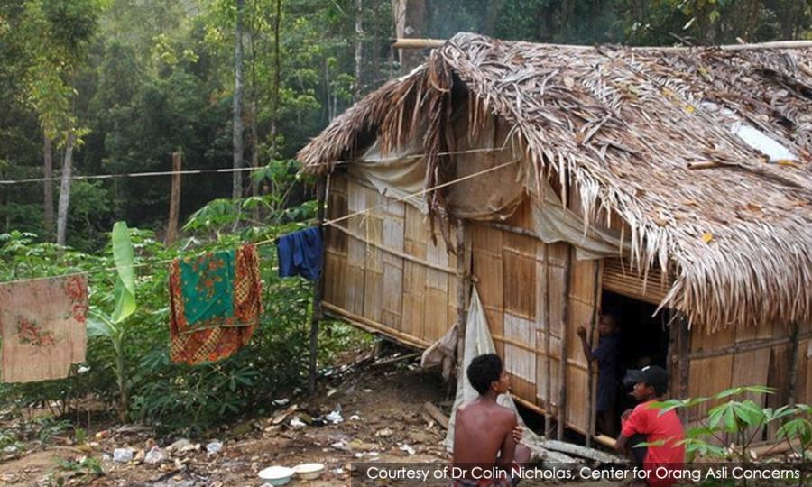 Malaysiakini Nrd Ordered To Register All Orang Asli In Kuala Koh