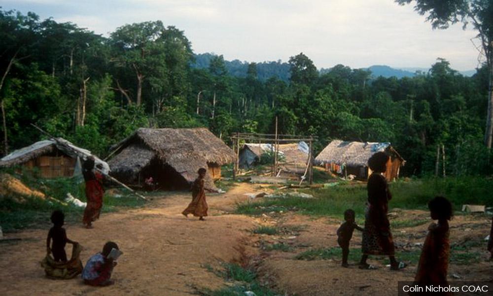 Category of self-employment among the Orang Asli from Kampung Sungai Berua.