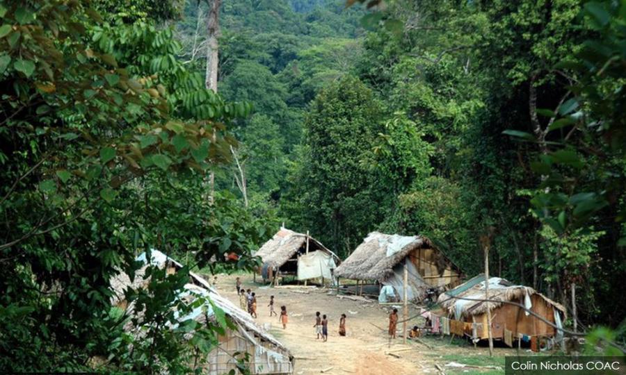 Malaysiakini 150 Orang Asli Leave Sg Berua Settlement After Arrivals From Kuala Koh