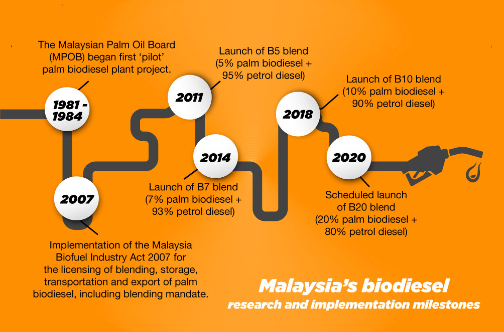 Why Palm Biodiesel Is More Important Than You Thought