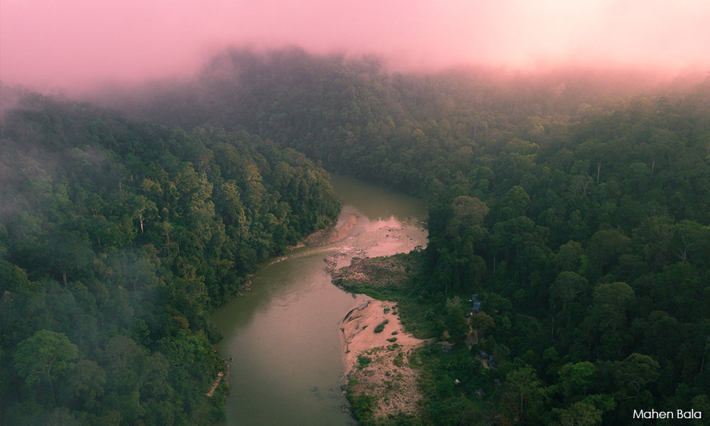 Twilight of the Bateq