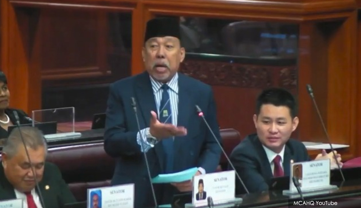 Men protection' law: PKR senator apologises, retracts proposal