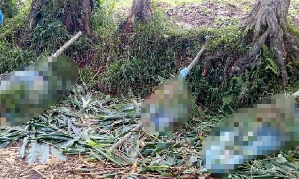 Gunmen massacre 18 in Papua New Guinea attack
