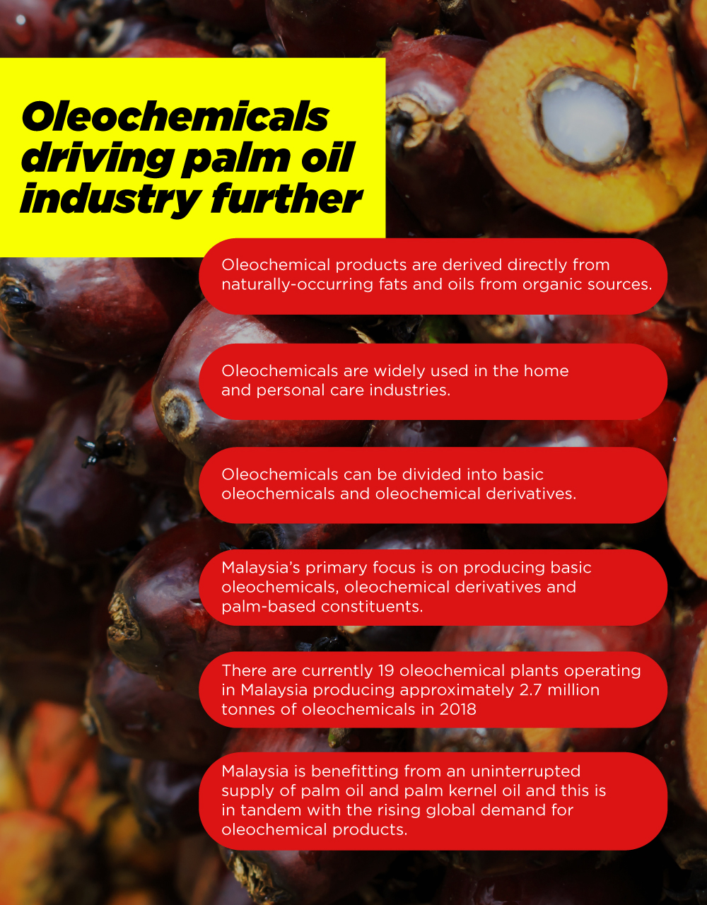 SoapLab Malaysia: Palm Oil Vs Palm Kernel Oil In SoapLab Malaysia