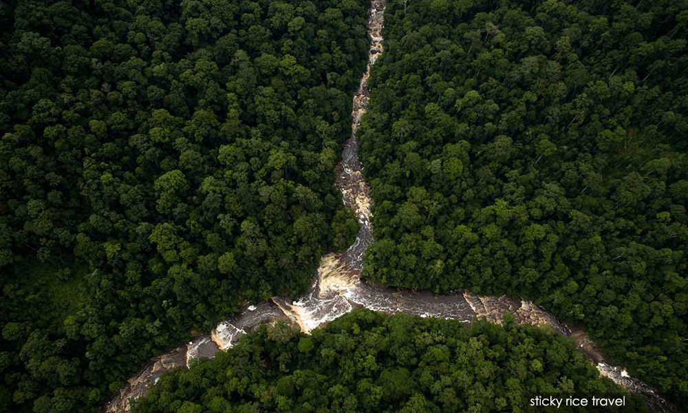 Unesco iktiraf Kinabatangan tapak rizab biosfera 1 57a76f9d7f6b5c1fbfd594b0a360b676