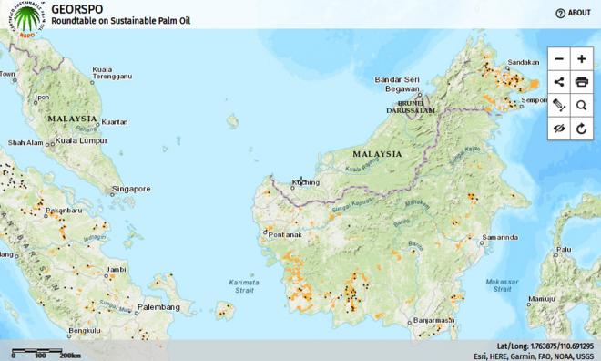 RSPO ready to publish maps of oil palm plantations within days of approval