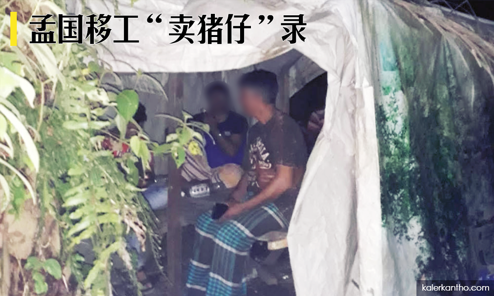 孟国移工“卖猪仔”录（4）：“连牛都住得比我好”