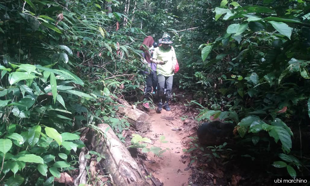Lelaki tua dari belantara bercanda dengan maya
