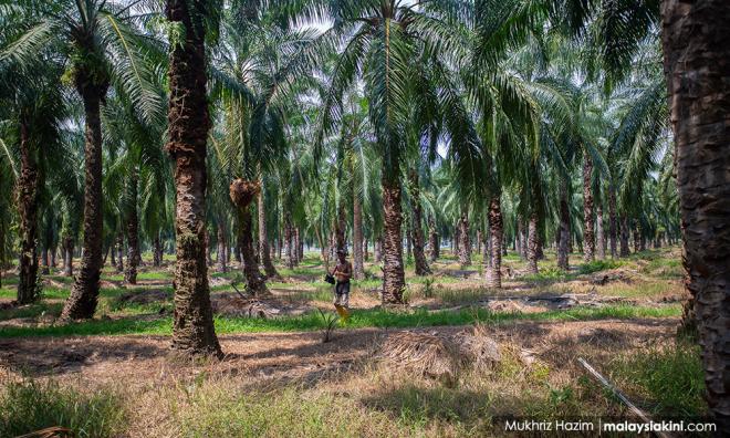 Kesedar tumpu selesai geran hak milik tanah 2,238 peneroka