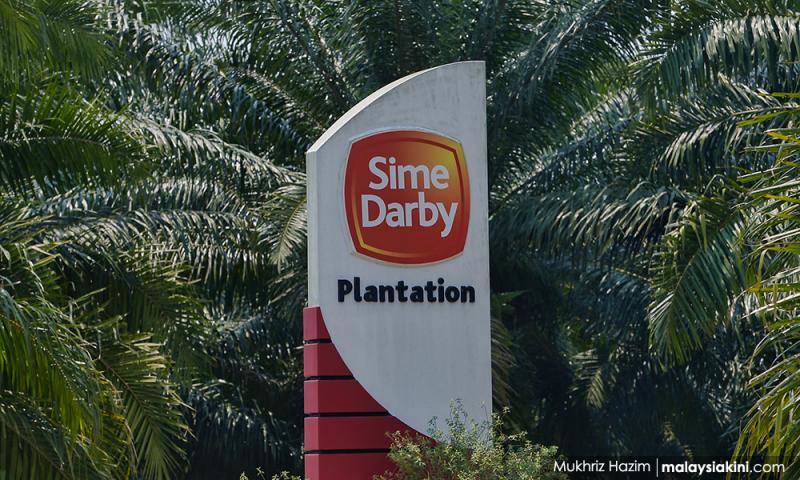 Sime Darby Plantation pertahan larangan ragut rumput 