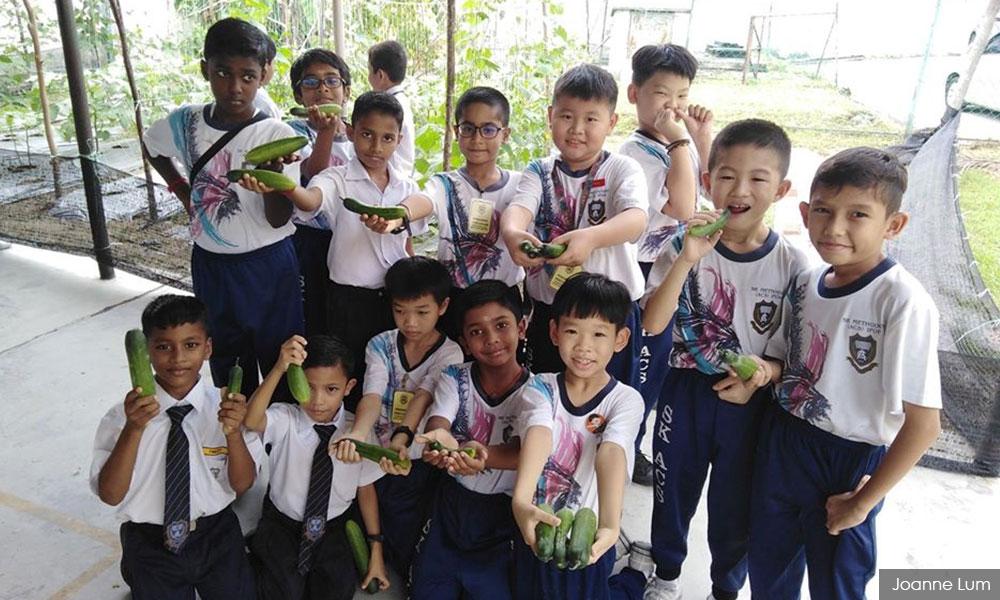 Sekolah ajar pelajar berkebun, hasilnya kini dijual