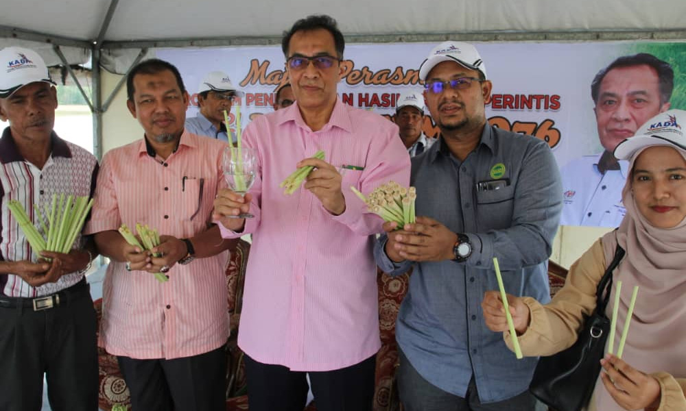 Husam cadang hospital guna straw serai