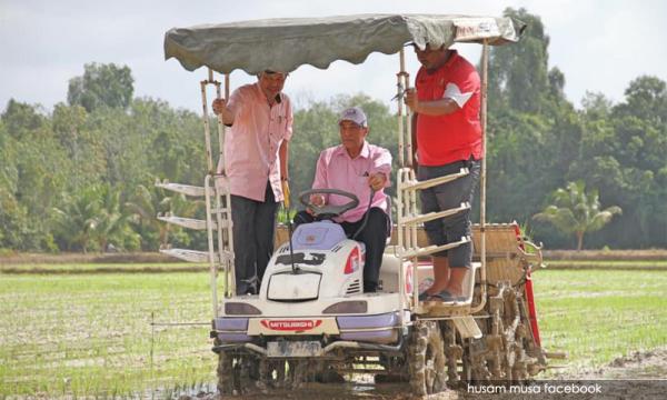 Kada Wujud Ladang Benih Padi Wangi Mrq76