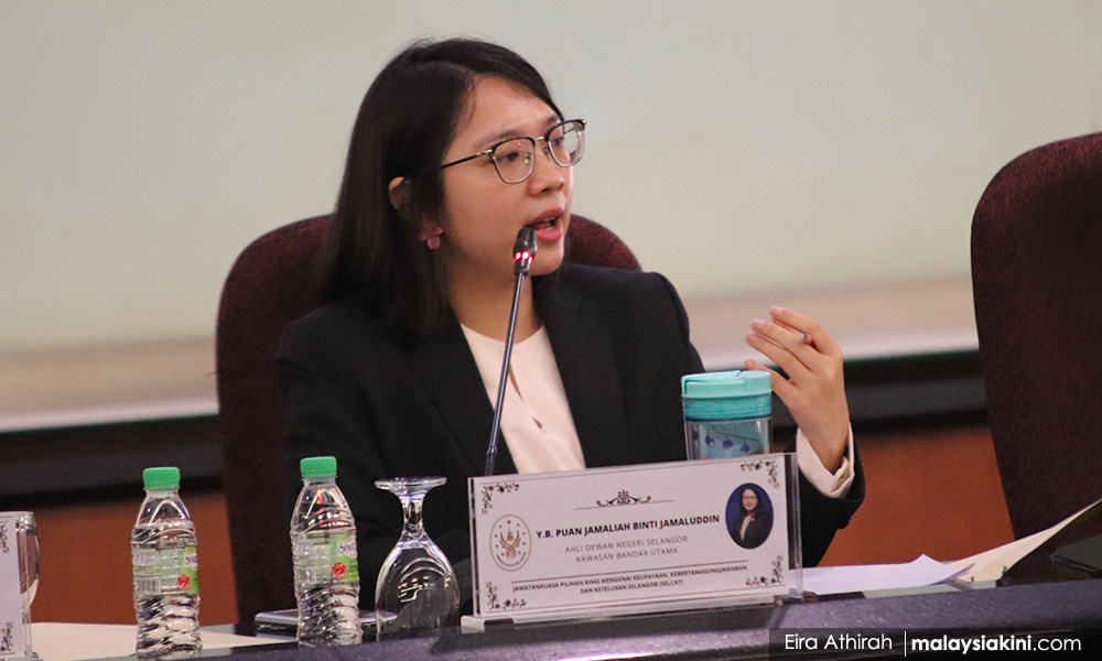Selangor orders local councils to seize all vape product ads