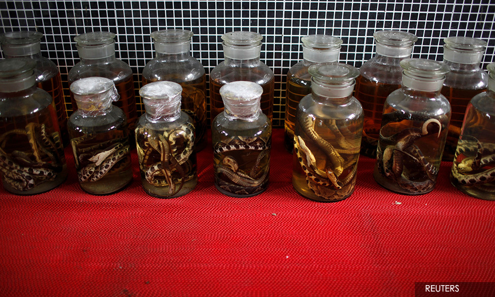 China's appetite for wildlife likely to survive virus