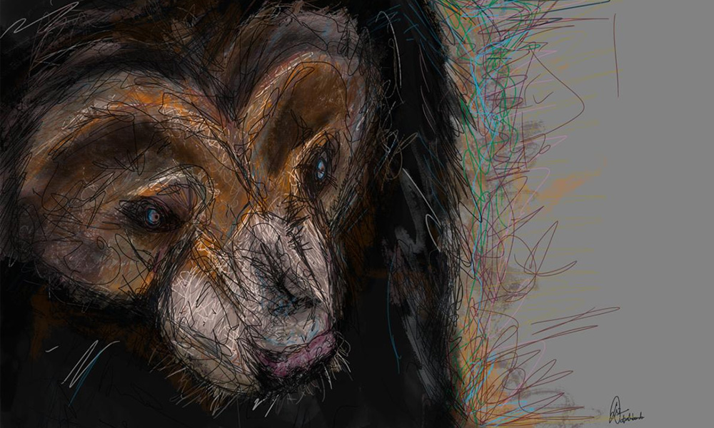 Pleading the case of Malaysia's sun bears