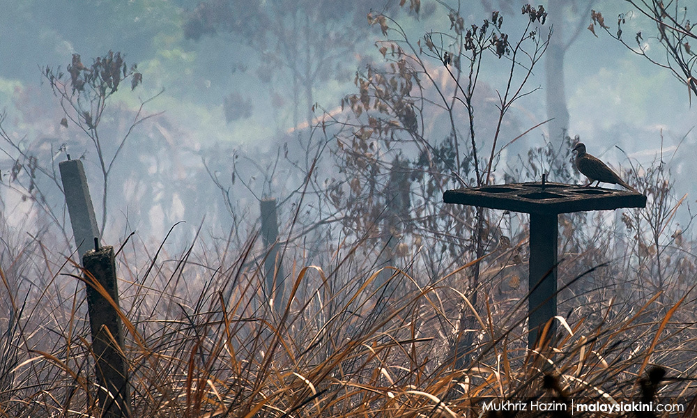 Kelantan rekod 1,089 kes kebakaran terbuka