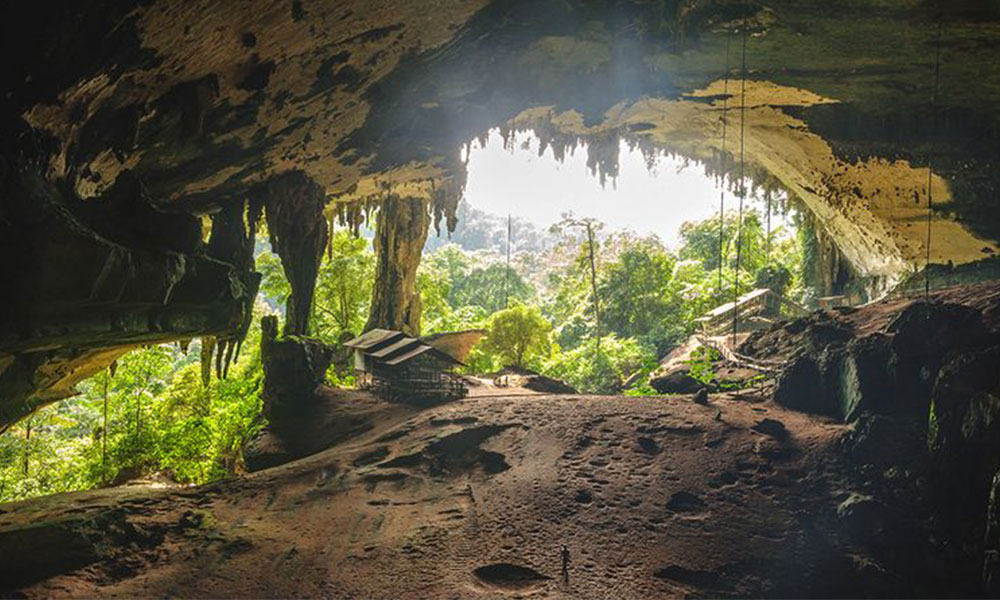 40 000 year old Gua Niah  human bones arrive home from US