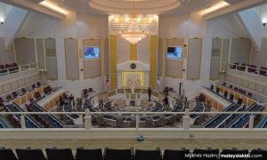 Malacca DAP lawmakers denounce plan to appoint state reps, vow to oppose