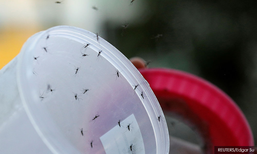 Local govt ministry, municipalities must help Health Ministry to combat dengue