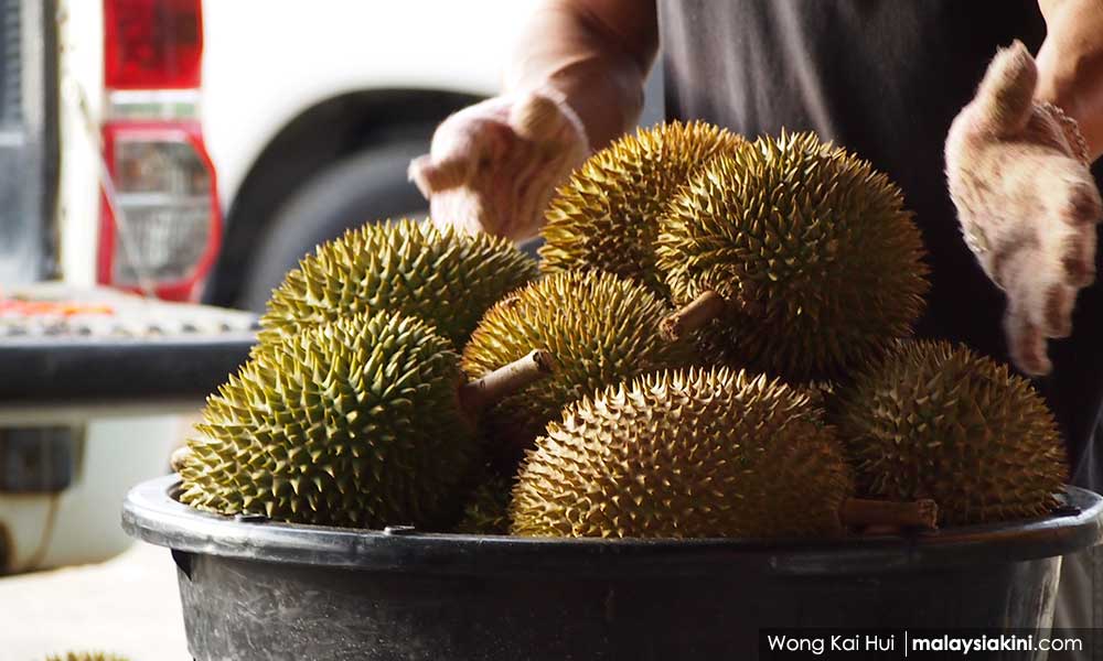 Durian satukan Mohd Nasir, Chew dan Loganathan 1 ced825d5214b38c090a26135932bd867