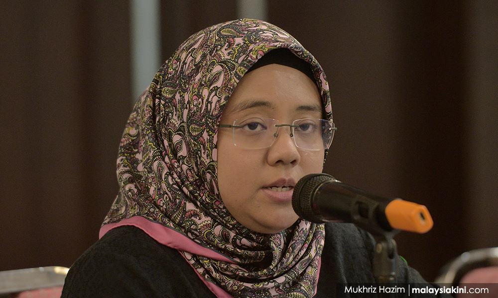 Azam's proposed laws must be backed with stronger accountability measures - group