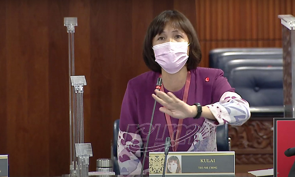 Pelajar asing wajib belajar bahasa Melayu sejak 2014, kata Teo