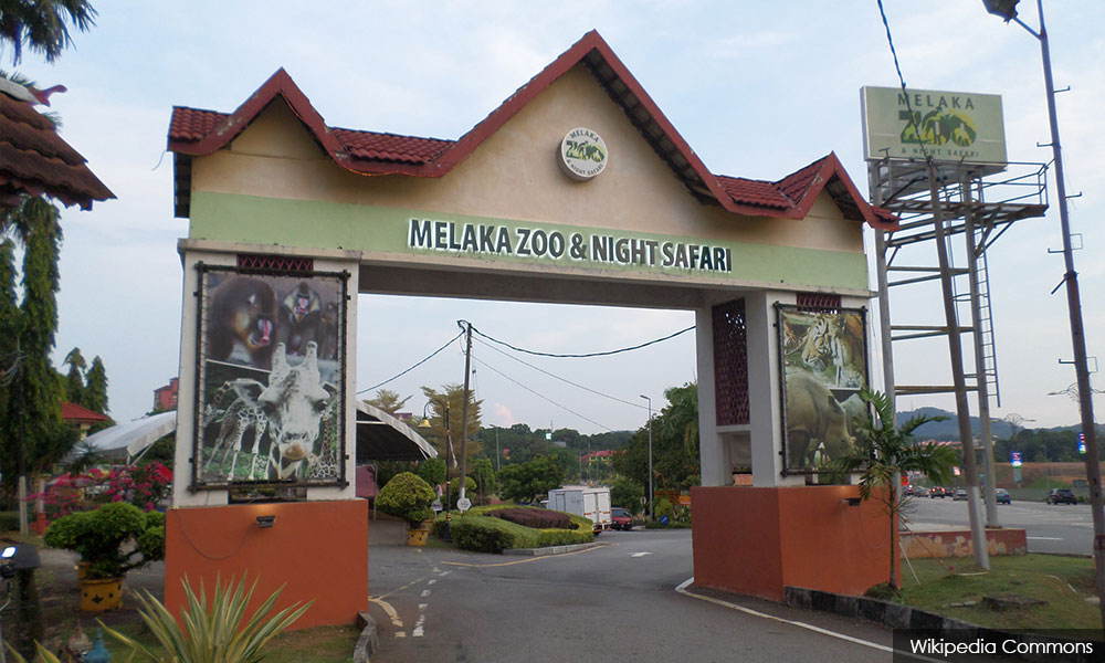 Zoo Melaka tutup 5 hari, penjaga haiwan positif Covid