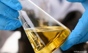 MP SPEAKS | Accelerate B20 biodiesel rollout to counter fuel price crisis