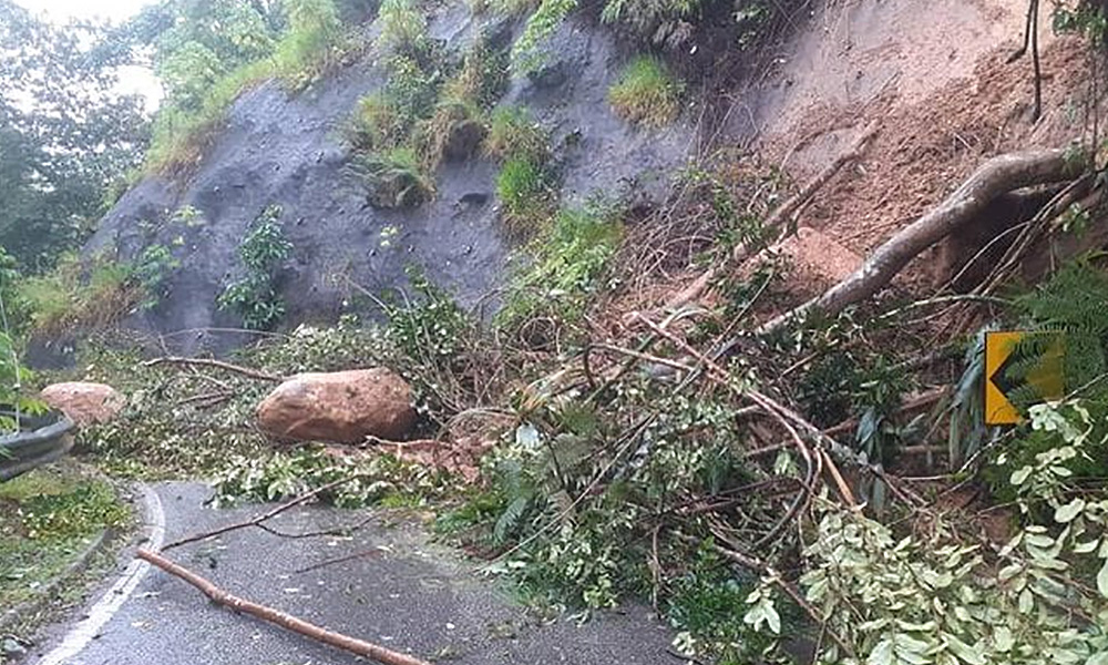 Landslide risk: Warning systems to be installed at 20 forest parks