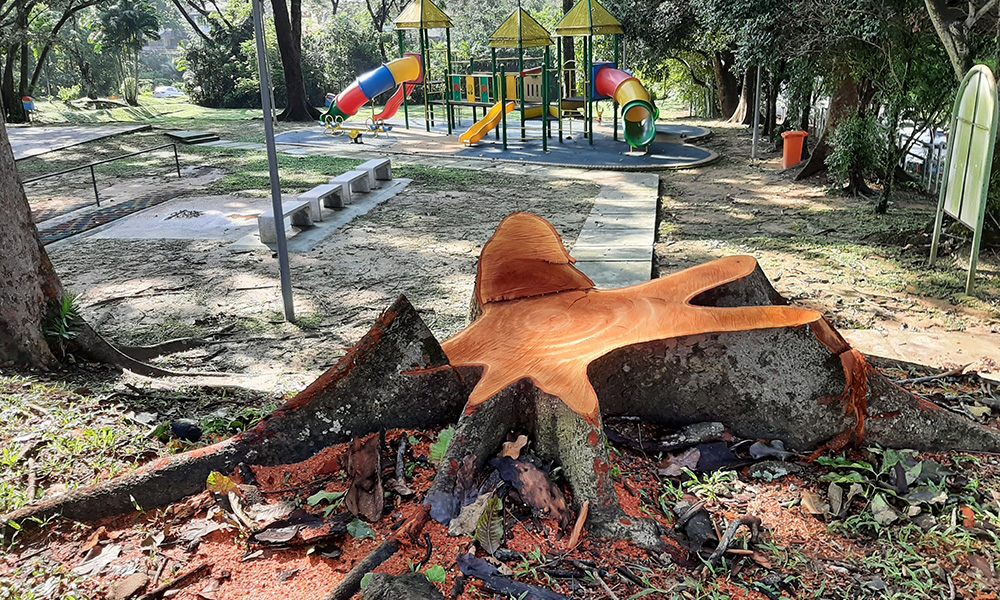 90 pokok berisiko sekitar KL sedang ditebang
