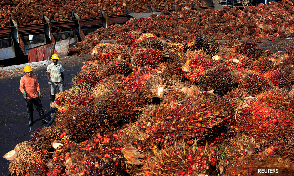 M'sia aims to regain palm oil market share in EU amid global shortage