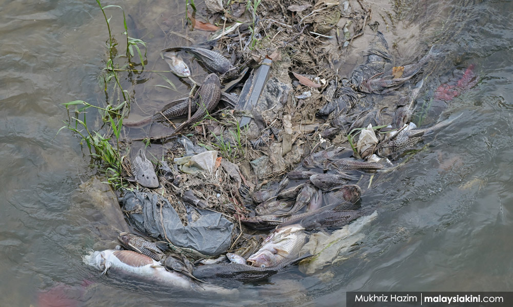 Kebakaran kilang punca pencemaran Sungai Rinting