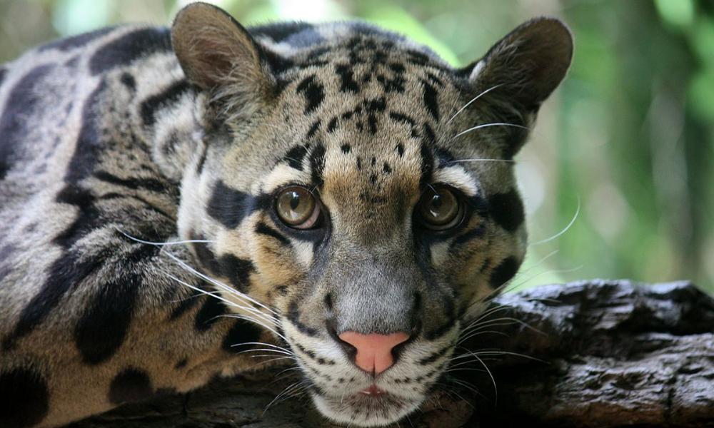 c8783ee449b706ea2767e2bec165182b