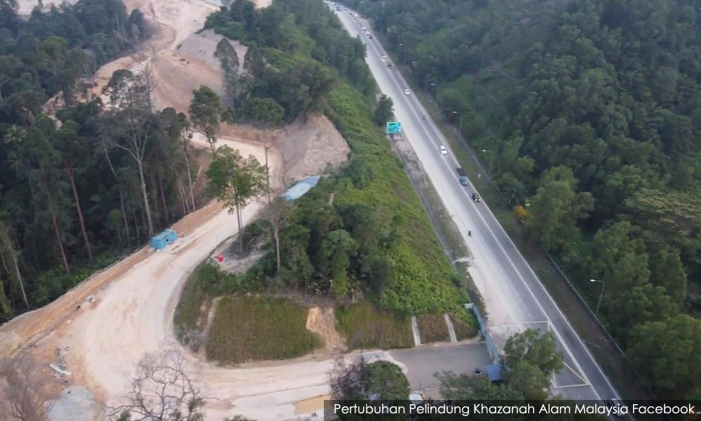 Bukit Cerakah development: Nov 17 set for decision on judicial review bid