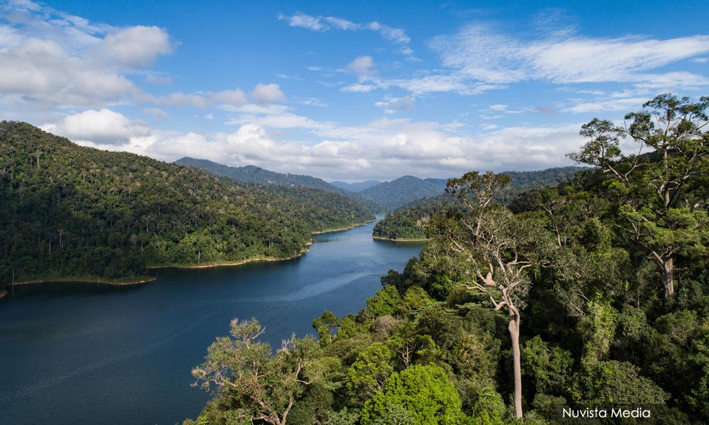 Study: Protecting M'sia's nature worth RM739.12b in economic growth