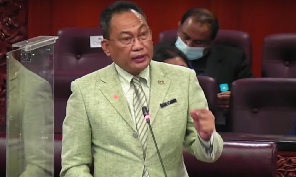 国会通过主妇社安法案,扩大妇女社会安全网