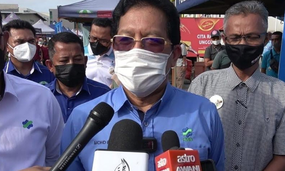 Fama: Import ayam dihentikan bila bekalan tempatan pulih