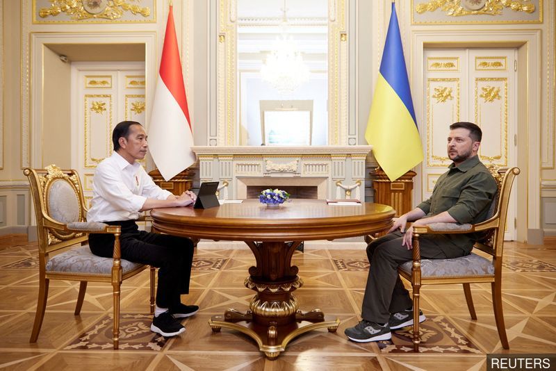 Jokowi offers to take message from Ukraine's leader to Putin