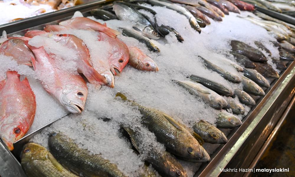 Fish supply, price under control during Ramadan, Aidilfitri - LKIM